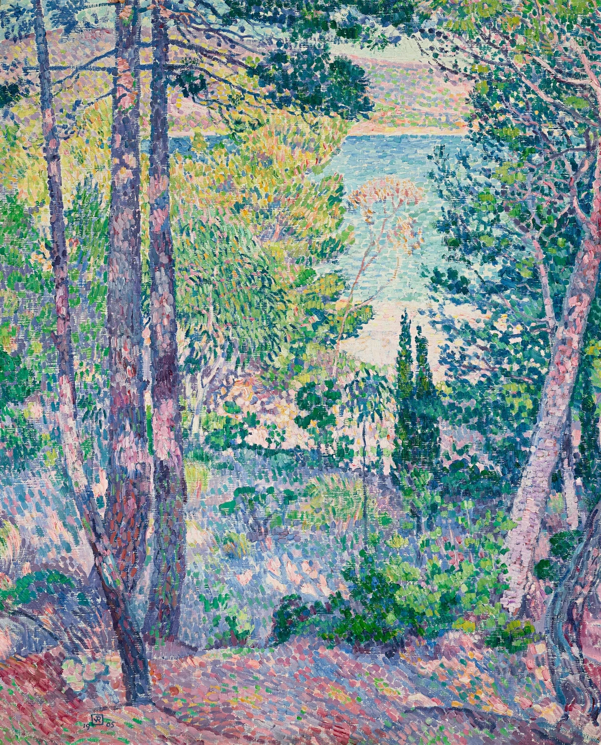 Eucalipto a Cavalière, 1905